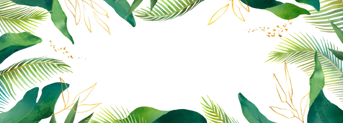 Comprar y Enviar Flores en El masnou