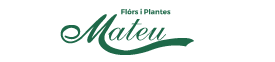 Flors i Plantes Mateu | El Masnou