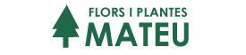 Flors I Plantes Mateu Floristería Profesional